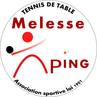 Melesse Ping