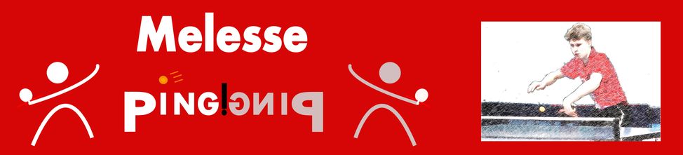 Melesse Ping
